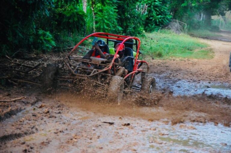 Bayahibe: Buggy tour amazing half-day - The Experience’s Pros and Cons