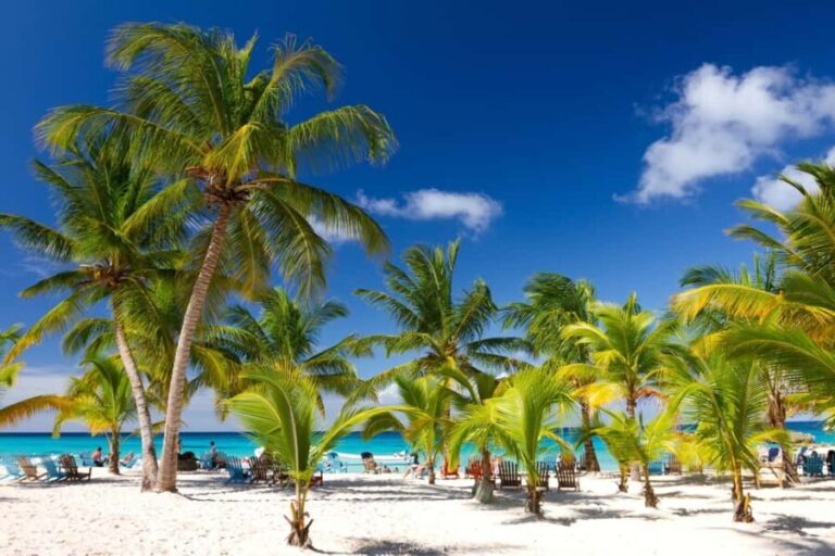 Bayahibe: Saona Island Sailing in catamaran with open bar - Authenticity & Value: What Does This Tour Mean for You?