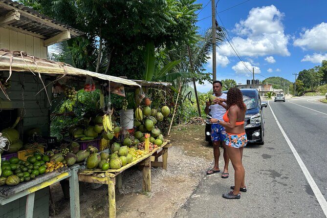 Benta River & Falls Private Tour From Montego Bay - Who Would Love This Tour?