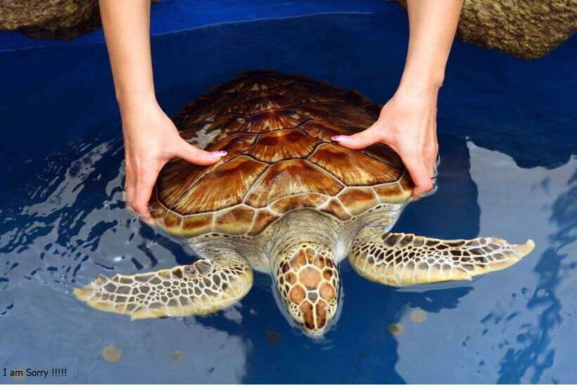 Bentota: All Inclusive Galle Dutch Fort & Madu River Safari - A Deep Dive into the Tour Experience