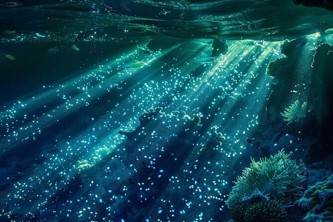 Bioluminescence Snorkel Boat Tour to Klein Bonaire - What the Reviews Say