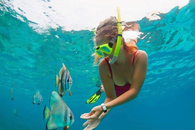 Blue Lagoon Snorkeling and Lunch - Ubud Monkey Forest - Waterfall - Why This Tour Offers Great Value