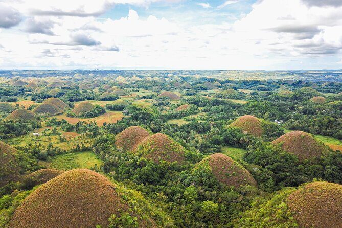 Bohol Countryside Tour: Chocolate Hills, Tarsier and Loboc River - What’s Included and What’s Not