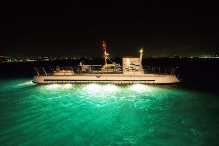 Bridgetown: Submarine Guided Night Tour - The Underwater Environment and Marine Life