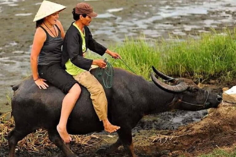 Buffaloe Riding/Ceramic/Cafe/Lantern Class/Basket Boat/Lunch - What Travelers Love and Should Consider
