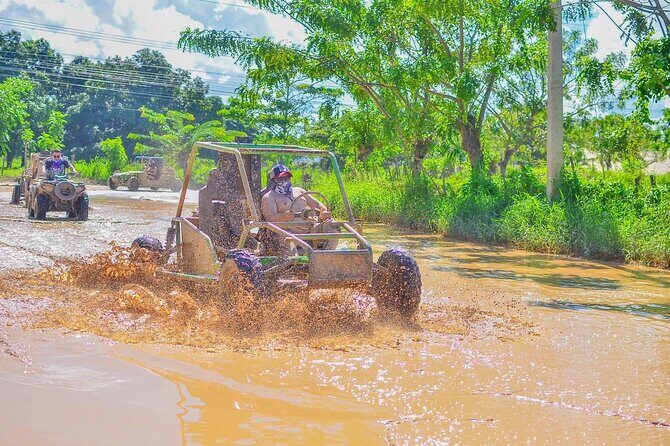 Buggies with Tour in Caves and Beaches - Authenticity and Value