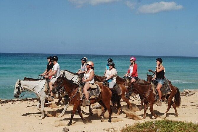 Buggy Horses and Zip Line from Punta Cana with Lunch Included - Practicalities and Considerations