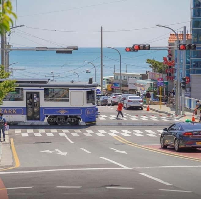 Busan: Private Chartered Car Tour - What to Expect on Your Day