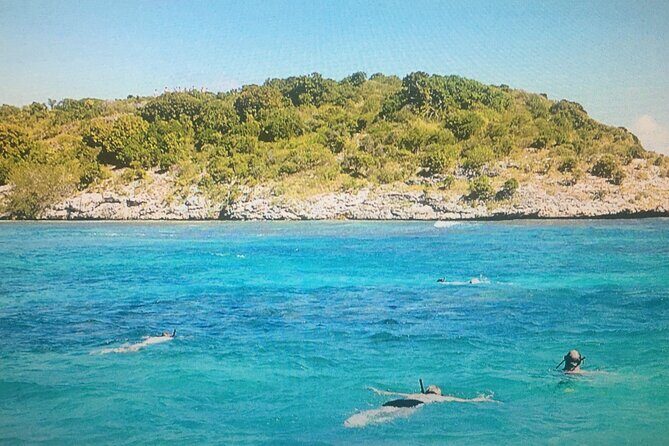 Cades Reef Snorkel Cruise from St. John's Antigua - Practical Tips for Booking and Participating