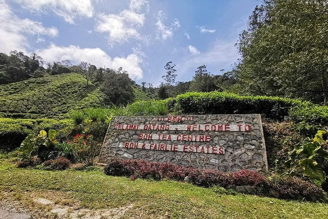 Cameron Highland Day-Trip from Kuala Lumpur - Pricing and Value Analysis