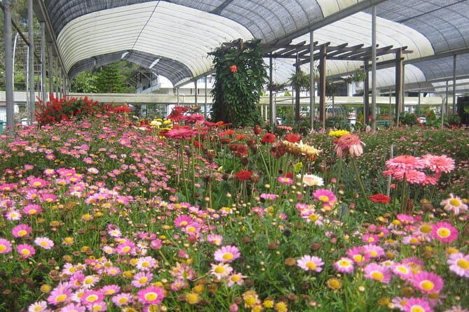 Cameron Highlands Sightseing Tour - Optional Visits and Additional Attractions