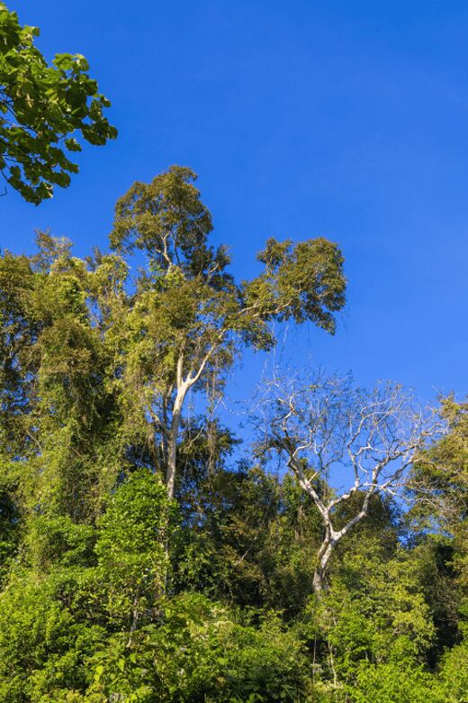 Cat Tien National Park with Crocodile Lake - Practical Details and Value