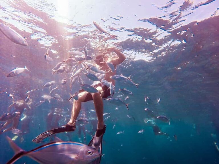 Catalina Island Full-Day Snorkeling + Lunch from Punta Cana - What’s Really Worth It