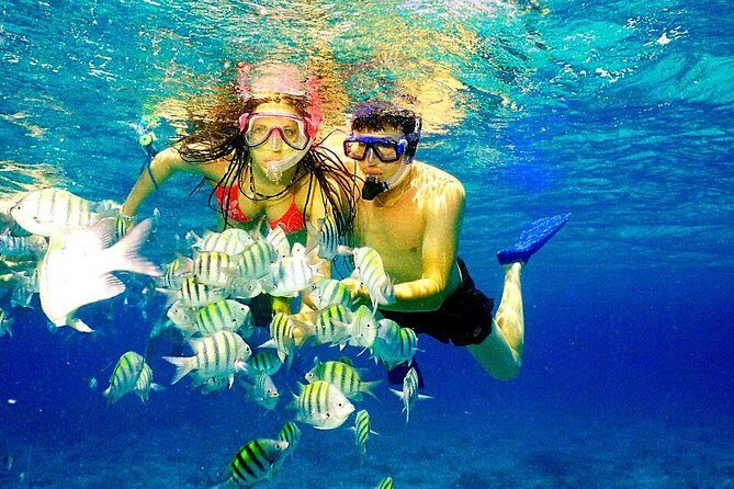 Catalina Island & Snorkeling Paradise From Punta Cana - Who Should Consider This Tour?