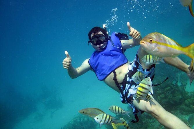 Cayo Arena Exclusive Tour with Lunch - Final Thoughts: Is It Worth It?