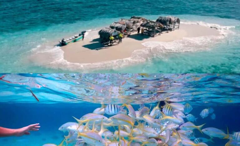 Cayo Arena: Paradise Island & Magroves Tour Private - Practical Insights & Considerations
