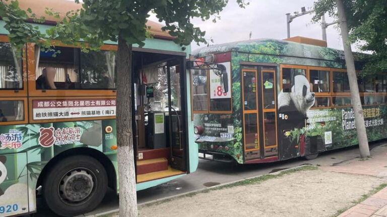 Chengdu: Private Tour at Panda Base with Guide - Key Points