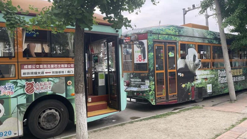 Chengdu: Private Tour at Panda Base with Guide - Key Points