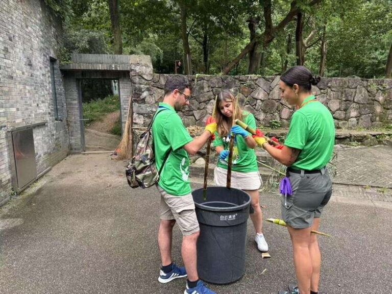 Chengdu: Volunteer Day Experience at Dujiangyan Panda base - Is the Price Worth It?