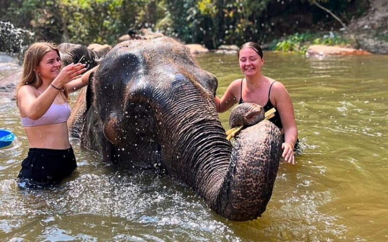 Chiang Mai: Jungle Trek, Elephants care & Bamboo Rafting - What’s Included and What’s Not