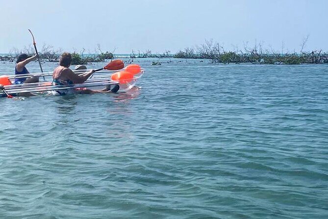 Clear Kayak Tour - The Experience in Detail: A Closer Look