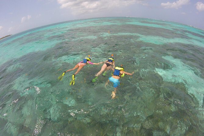 Coastline Snorkel and BBQ - An In-Depth Look at the Coastline Snorkel and BBQ Tour