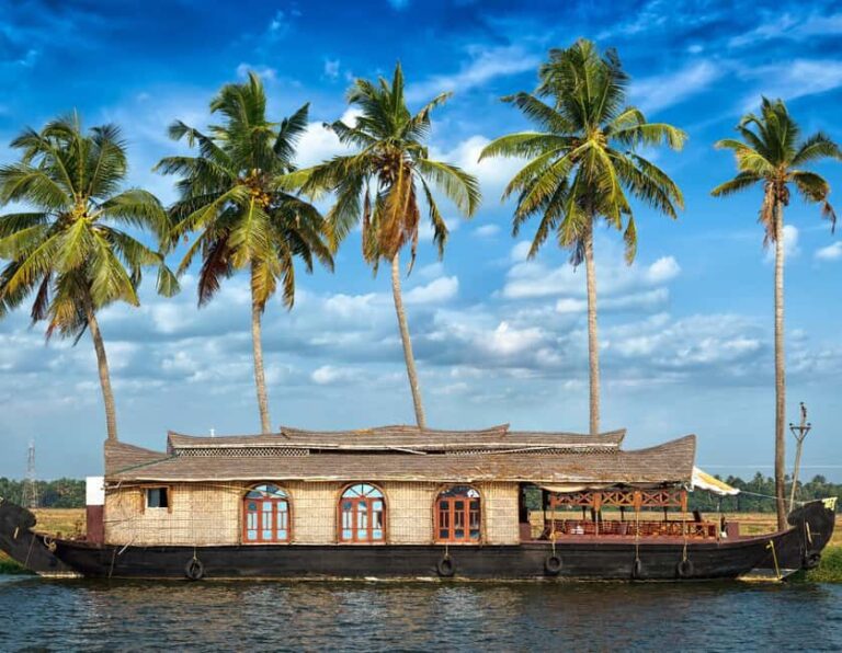 Cochin: 5-Day Kerala Tour with Munnar, Thekkady and Alleppey - How It All Comes Together