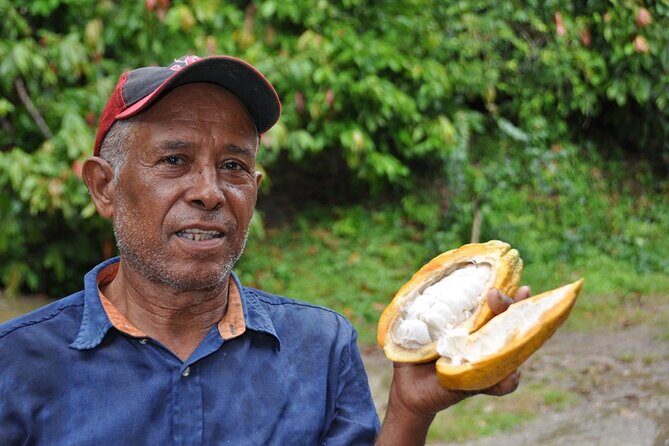 Cocoa & Artisan Chocolate Route with an Historical Tour in Puerto Plata City - Who This Tour Is Best For