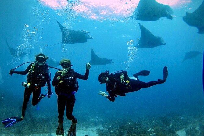 Day Trip Discover Scuba dive in Nusa Penida 2 dives (From Sanur - South Bali) - Why This Tour Stands Out