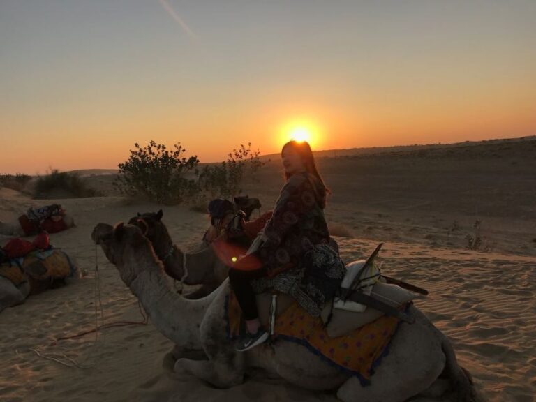 Dazzling Half Day Camel & Desert Safari With Sunset & Dinner - Practical Tips for Travelers