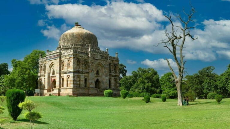 Delhi: Private Full-Day City Tour of Old and New Delhi - The Value of This Tour