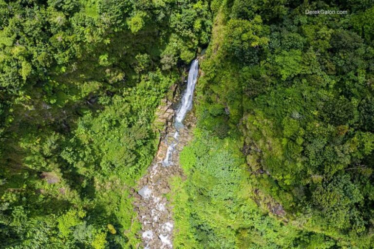 Dominica Adventure Tour - Authentic Experiences in Dominica