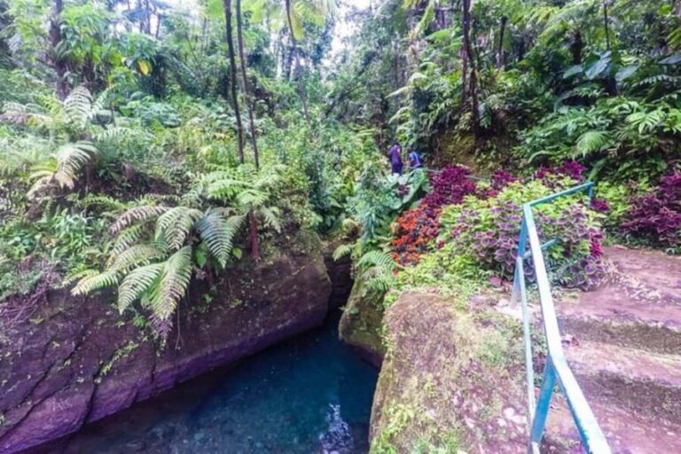Dominica: Get Set Wet Day Tour - Swimming in Titou Gorge: A Hidden Waterfall Awaits