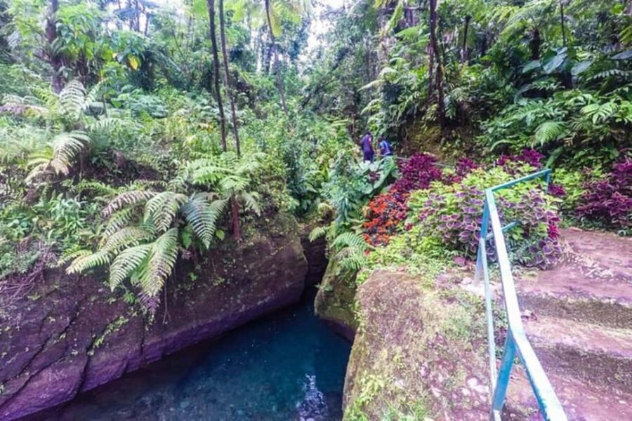 Dominica: Get Set Wet Day Tour - Swimming in Titou Gorge: A Hidden Waterfall Awaits