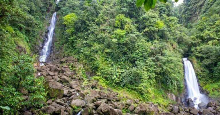 Dominica: Safari Scenic Tour with Karaoke - Key Points
