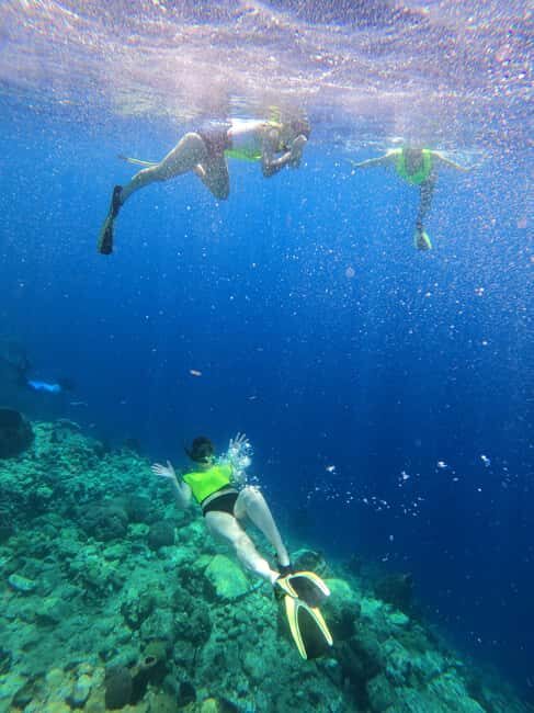 Dominica Waterfalls Chasing and Snorkeling Experience - What to Expect: Practical Details