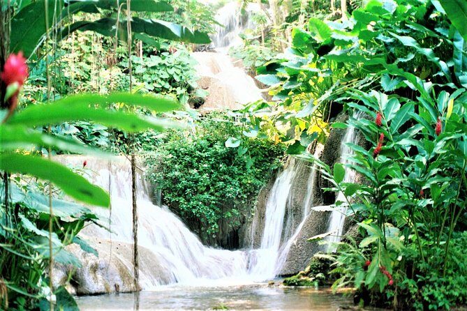 Dunn's River Falls and Ocho Rios Shopping Tour from Montego Bay Hotels - Analyzing the Value