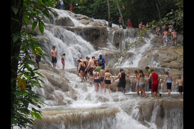 Dunn's River Falls & River Tubing with Lunch from Falmouth - Authenticity and Value