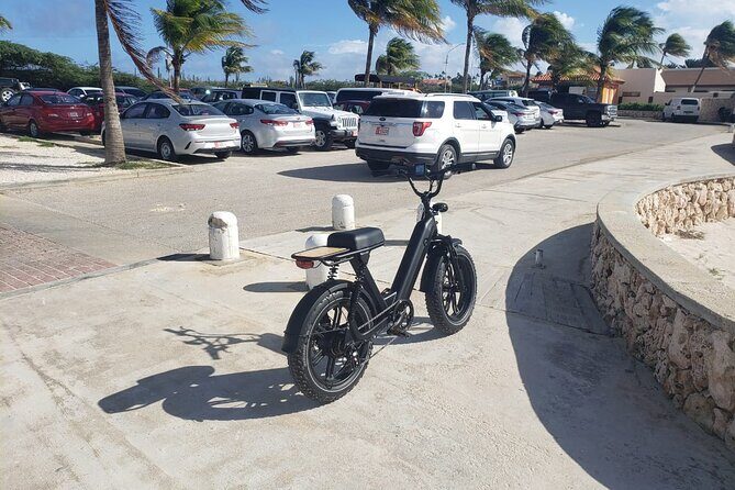 Ebike Rentals in Aruba - Who Will Love This Tour?