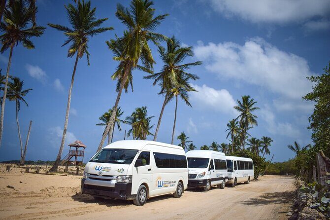 Effortless Airport Transfers in Punta Cana - Meeting at the Airport