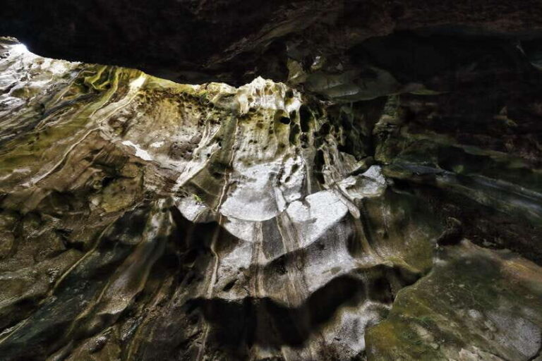 El Nido: Private/Exclusive Island Hopping Tour B BEST PRICE! - What’s Included and What to Bring