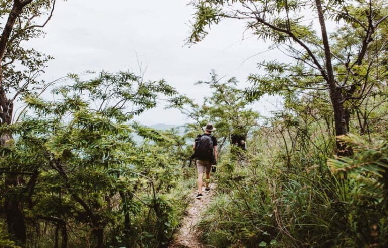 Ella: Tuk Tuk Tour to Diyaluma and Secret Waterfalls - Who Would Love This Tour?