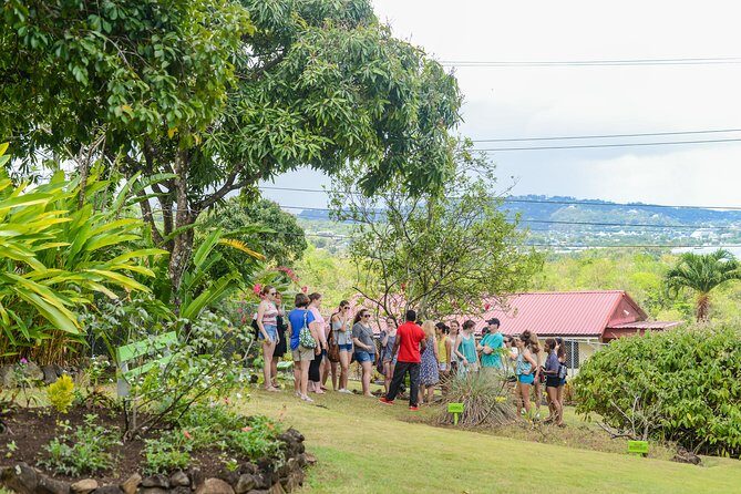Essence of St Lucia Heritage Experience - The Sum Up