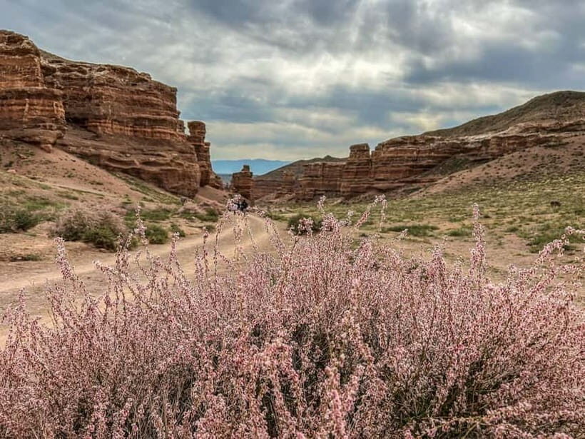 From Almaty: Charyn Canyon Full-Day Trip with Boxed Lunch - An In-Depth Look at the Charyn Canyon Full-Day Tour