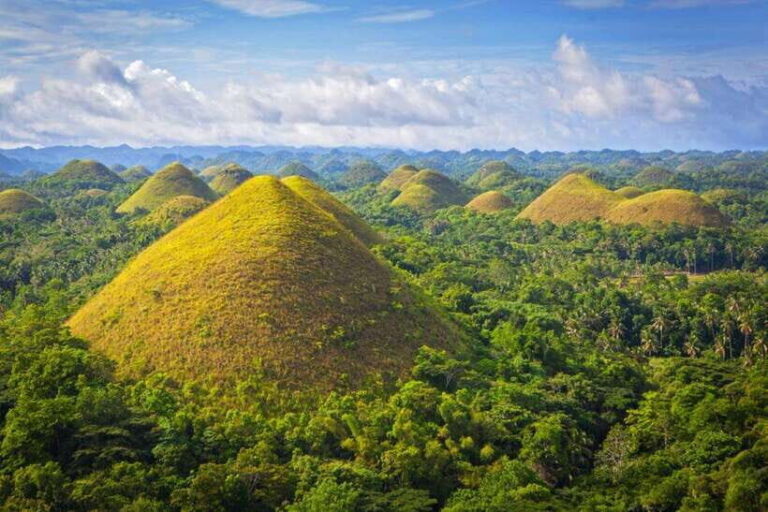 From Cebu City: Bohol Island Highlights in One Day - Practical Details and Tips