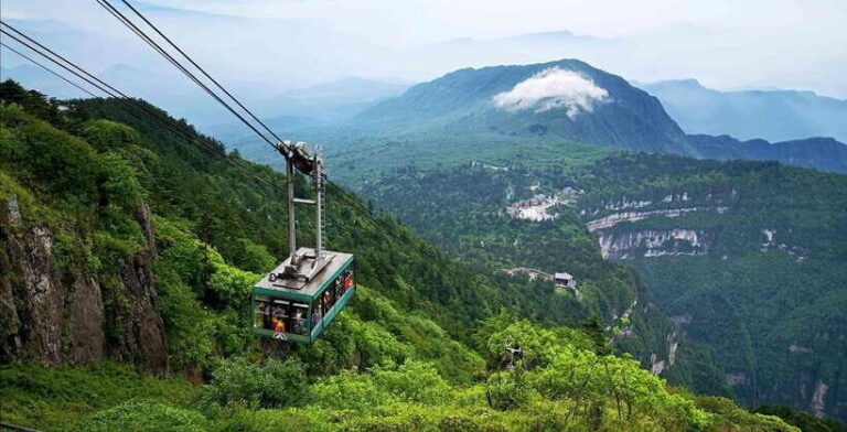 From Chengdu: Mount Emei Day Trip with Golden Summit Visit - What Makes This Tour Stand Out?