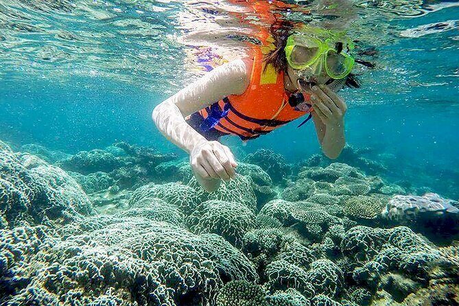 From Da Nang/ Hoi An: Cham Island Day Tour with snorkeling fun - Frequently Asked Questions