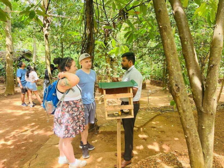 From Kandy: Sigiriya Day Tour with Elephant Safari(group) - Deep Dive into the Sites