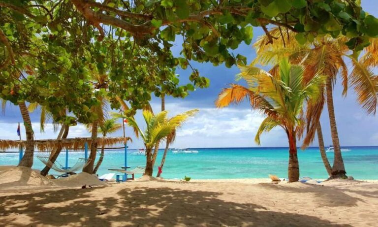 From miches: Isla Catalina Snorkeling Tour with Lunch - The Itinerary: What to Expect from Start to Finish