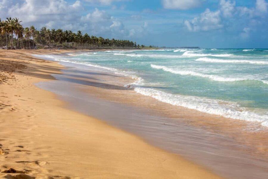 From Punta Cana: Full-Day Island Tour with Lunch - Transportation and Logistics